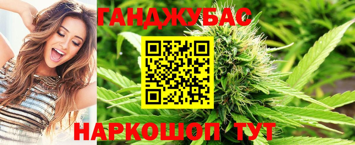 Шишки марихуана конопля Кириши